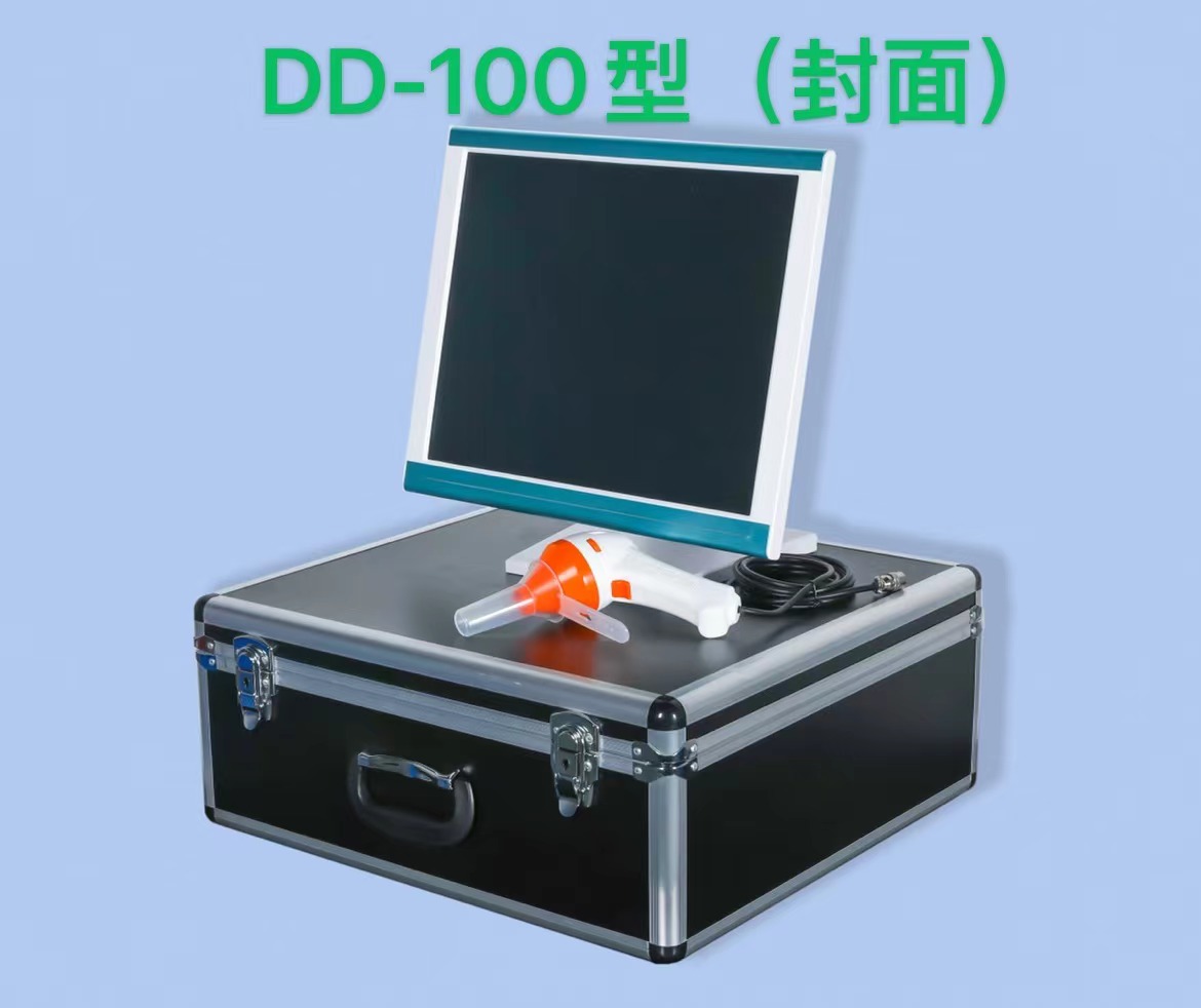 DD-100型.jpg